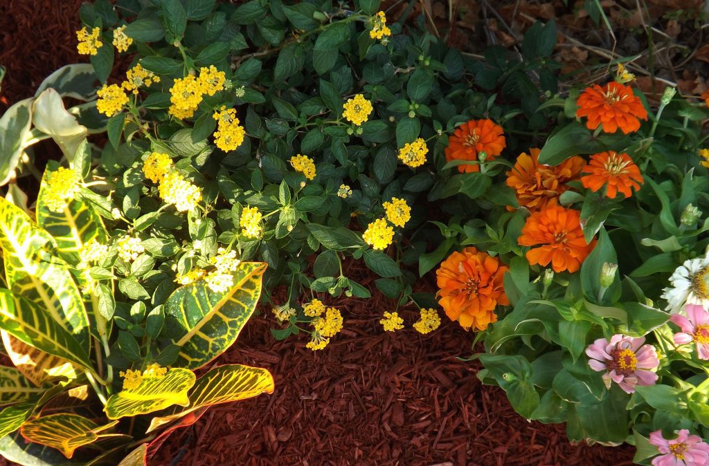 garden soil and mulch for nashville garden