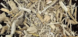 Alternative Energy Products - Walking Trail